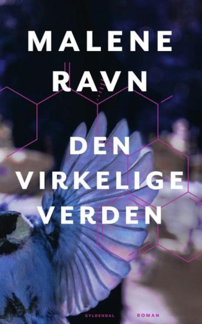 Malene Ravn (f. 1971): Den virkelige verden : roman