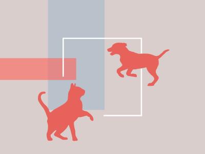hund og kat